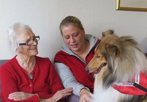 Besøksvenn med hund